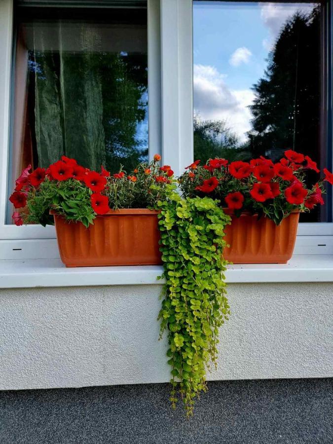 Haus Bierherr Apartment Mariazell Exterior photo